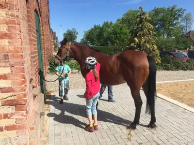 Ferienwohnung für 4 Personen (50 m²) in Fehmarn 10/10