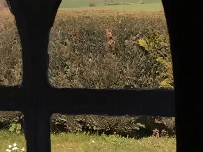 Ferienwohnung für 2 Personen (30 m²) in Fehmarn 7/10