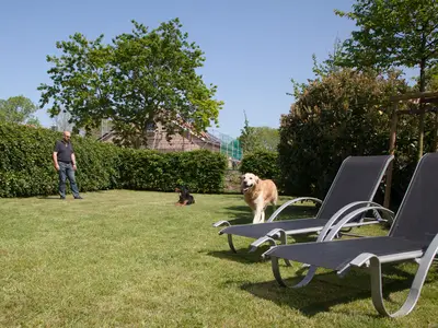 Ferienwohnung für 6 Personen (100 m²) in Fehmarn / Westermarkelsdorf 7/10