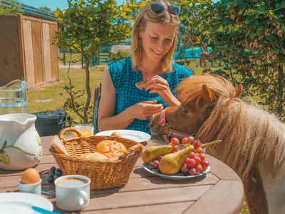 Ferienwohnung für 3 Personen (26 m²) in Fehmarn 8/10