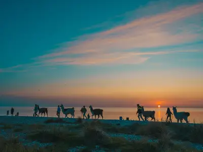 Ferienwohnung für 3 Personen (26 m²) in Fehmarn 9/10