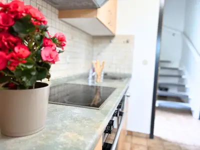 Ferienwohnung für 4 Personen (59 m²) in Fehmarn 6/10