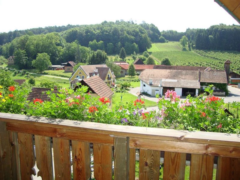 23682063-Ferienwohnung-4-Feldbach (Feldbach)-800x600-1