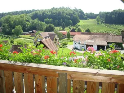 Ferienwohnung für 4 Personen (75 m²) in Feldbach (Feldbach) 2/10