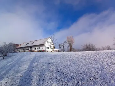 Ferienwohnung für 3 Personen (44 m²) in Feldbach 5/10