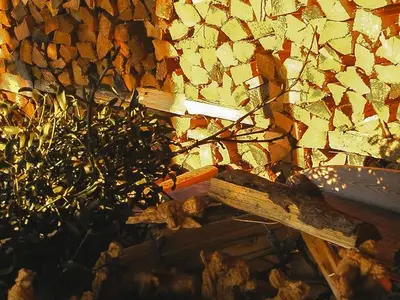 Ferienwohnung für 3 Personen (44 m²) in Feldbach 9/10