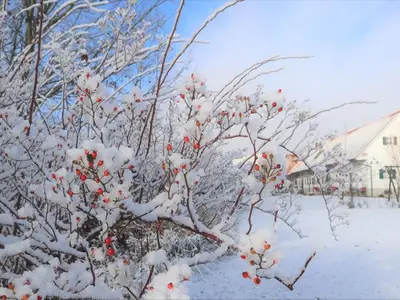 Ferienwohnung für 3 Personen (44 m²) in Feldbach 10/10