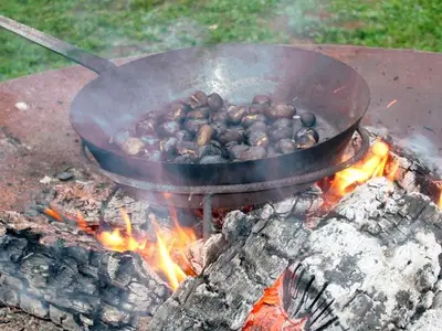 Ferienwohnung für 5 Personen (56 m²) in Feldbach 7/10