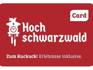 22501733-Ferienwohnung-4-Feldberg (Hochschwarzwald)-300x225-1