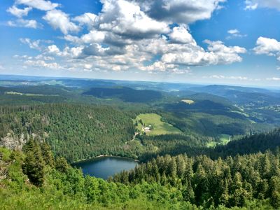 Ferienwohnung für 3 Personen (40 m²) in Feldberg (Hochschwarzwald) 10/10