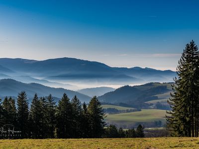 Ferienwohnung für 4 Personen (46 m²) in Feldberg (Hochschwarzwald) 10/10