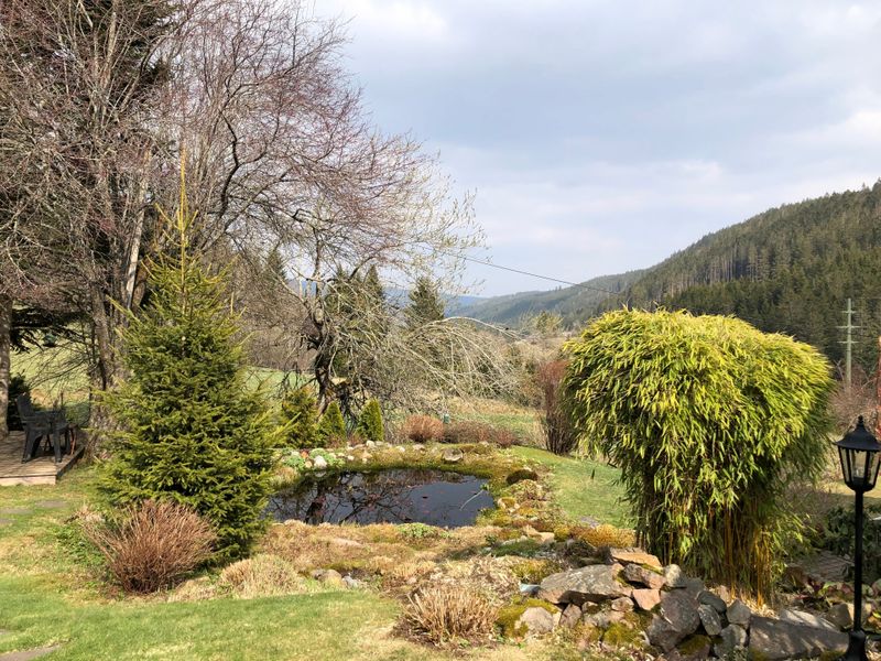 23439395-Ferienwohnung-2-Feldberg (Hochschwarzwald)-800x600-1