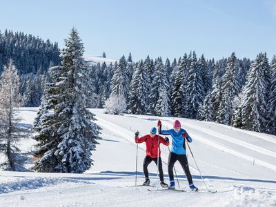 Ferienwohnung für 4 Personen (90 m²) in Feldberg (Hochschwarzwald) 9/10