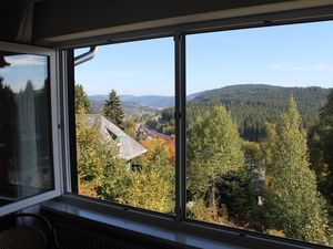 18712148-Ferienwohnung-2-Feldberg (Hochschwarzwald)-300x225-3