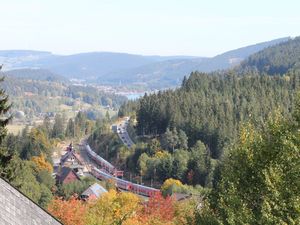 18712148-Ferienwohnung-2-Feldberg (Hochschwarzwald)-300x225-4