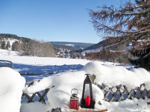 23847293-Ferienwohnung-4-Feldberg (Hochschwarzwald)-300x225-3