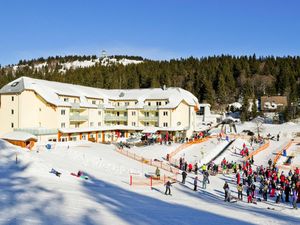 23290528-Ferienwohnung-4-Feldberg (Hochschwarzwald)-300x225-2