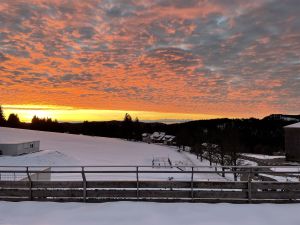 Penthouse Feldberg