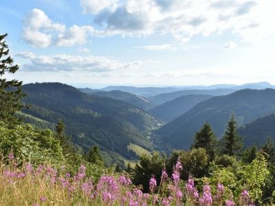 Penthouse Feldberg