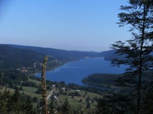 19044261-Ferienwohnung-4-Feldberg (Hochschwarzwald)-300x225-4