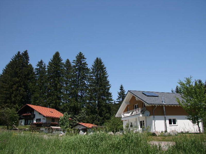 19571291-Ferienwohnung-6-Feldberg (Hochschwarzwald)-800x600-2