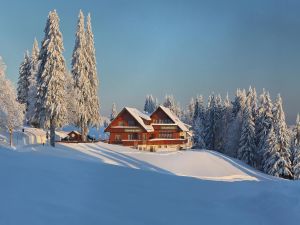 19044294-Ferienwohnung-5-Feldberg (Hochschwarzwald)-300x225-3