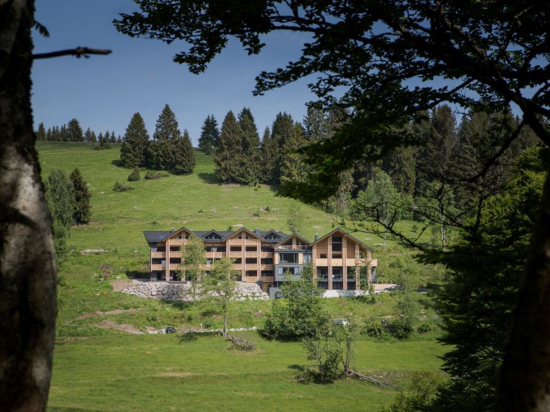 19324402-Ferienwohnung-5-Feldberg (Hochschwarzwald)-800x600-2