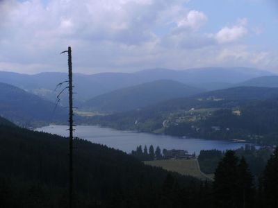 Ferienwohnung für 4 Personen (40 m²) in Feldberg (Hochschwarzwald) 7/10