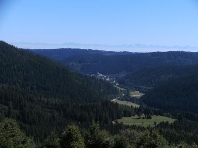 Ferienwohnung für 4 Personen (40 m²) in Feldberg (Hochschwarzwald) 8/10