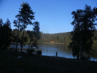 Ferienwohnung für 4 Personen (40 m²) in Feldberg (Hochschwarzwald) 9/10