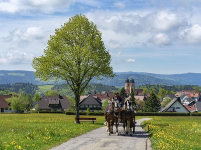 Kutschfahrt in St. Märgen