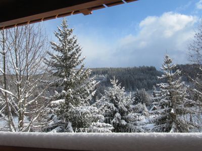 Ferienwohnung für 4 Personen (80 m²) in Feldberg (Hochschwarzwald) 2/10