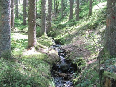 Ferienwohnung für 4 Personen (80 m²) in Feldberg (Hochschwarzwald) 8/10