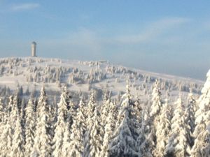 23551870-Ferienwohnung-4-Feldberg (Hochschwarzwald)-300x225-5