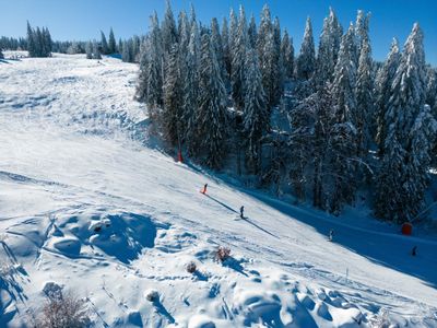 Ferienwohnung für 4 Personen (59 m²) in Feldberg (Hochschwarzwald) 4/10