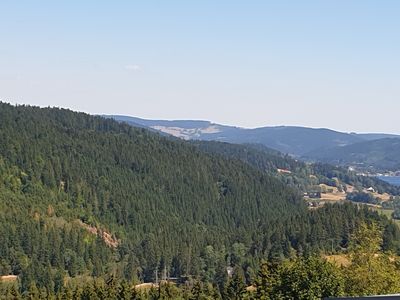 Ferienwohnung für 4 Personen (63 m²) in Feldberg (Hochschwarzwald) 4/10