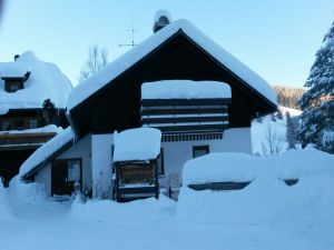 19052132-Ferienwohnung-4-Feldberg (Hochschwarzwald)-300x225-5