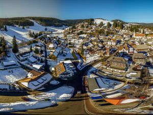 19188822-Ferienwohnung-3-Feldberg (Hochschwarzwald)-300x225-2