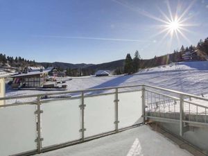 22298203-Ferienwohnung-6-Feldberg (Hochschwarzwald)-300x225-4