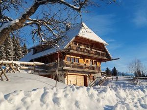 24052434-Ferienwohnung-21-Feldberg (Hochschwarzwald)-300x225-4