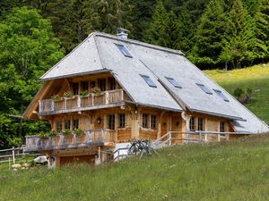 24052434-Ferienwohnung-21-Feldberg (Hochschwarzwald)-300x225-5