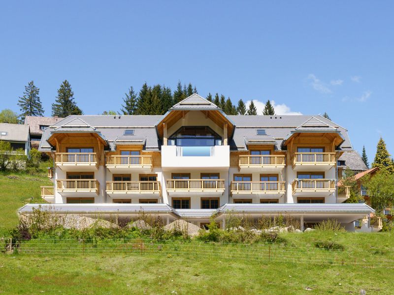 22933783-Ferienwohnung-2-Feldberg (Hochschwarzwald)-800x600-0