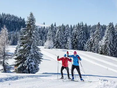 Ferienwohnung für 4 Personen (90 m²) in Feldberg (Hochschwarzwald) 10/10