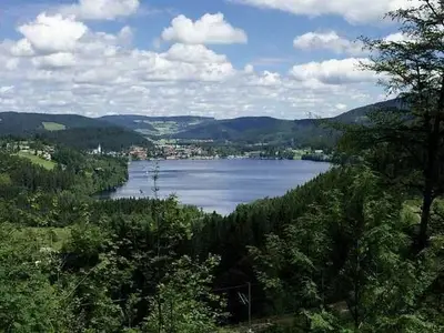 Ferienwohnung für 4 Personen (52 m²) in Feldberg (Hochschwarzwald) 7/10
