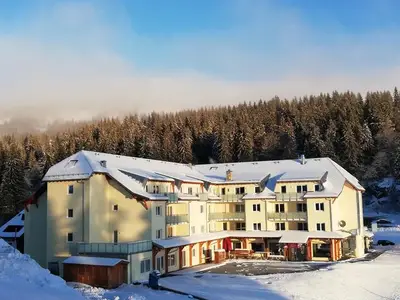 Ferienwohnung für 4 Personen (52 m²) in Feldberg (Hochschwarzwald) 8/10