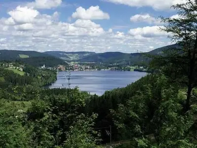 Ferienwohnung für 4 Personen (52 m²) in Feldberg (Hochschwarzwald) 7/10