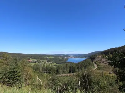 Ferienwohnung für 6 Personen (70 m²) in Feldberg (Hochschwarzwald) 6/10