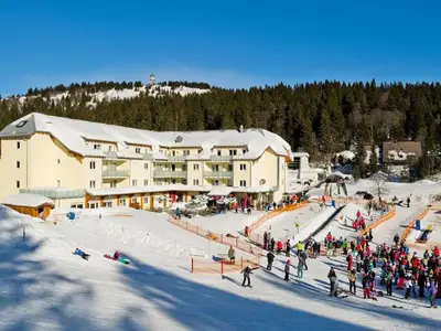 Ferienwohnung für 6 Personen (70 m²) in Feldberg (Hochschwarzwald) 9/10