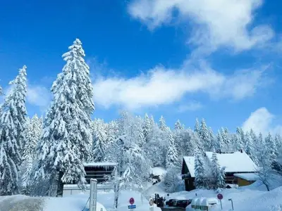 Ferienwohnung für 6 Personen (70 m²) in Feldberg (Hochschwarzwald) 10/10