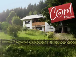 Ferienwohnung für 4 Personen (46 m²) in Feldberg (Hochschwarzwald)